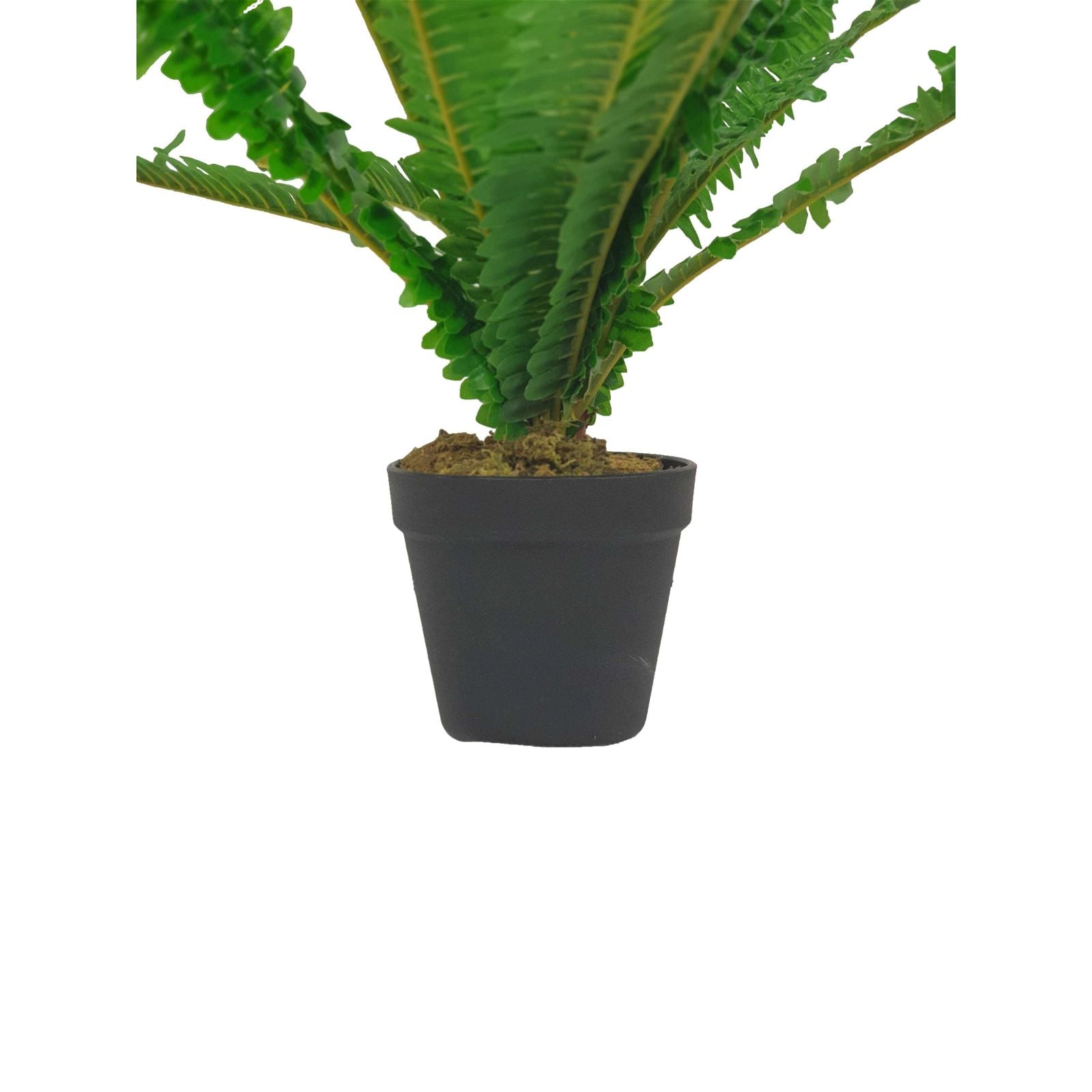 50cm Green Leaf Fern Artificial Plant by Criterion - Perfect for Home Decor, Office Spaces & Wedding Centerpieces