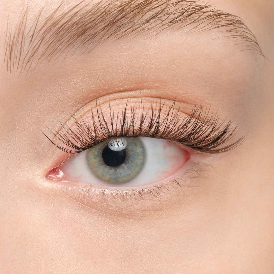 Plushy Gossamer® False Eyelashes - Natural Wispy Lashes for Dramatic Eye Makeup | Perfect for Parties, Weddings & Special Occasions