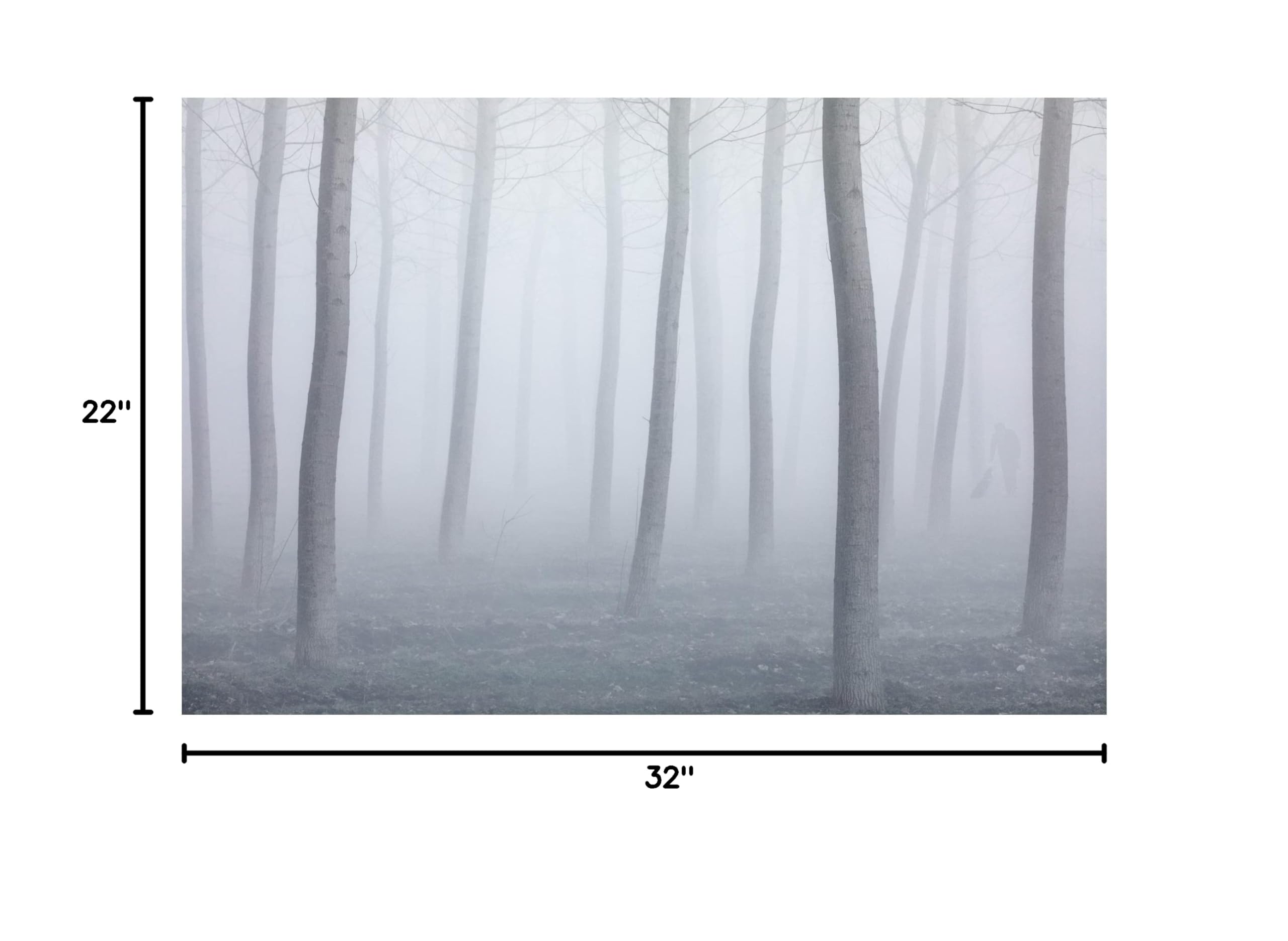Fiorenzo Carozzi 'Into The Fog' Canvas Wall Art Print - Modern Landscape Painting for Living Room, Bedroom & Office Decor
