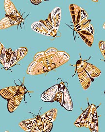 Cute Butterflies in Retro Style