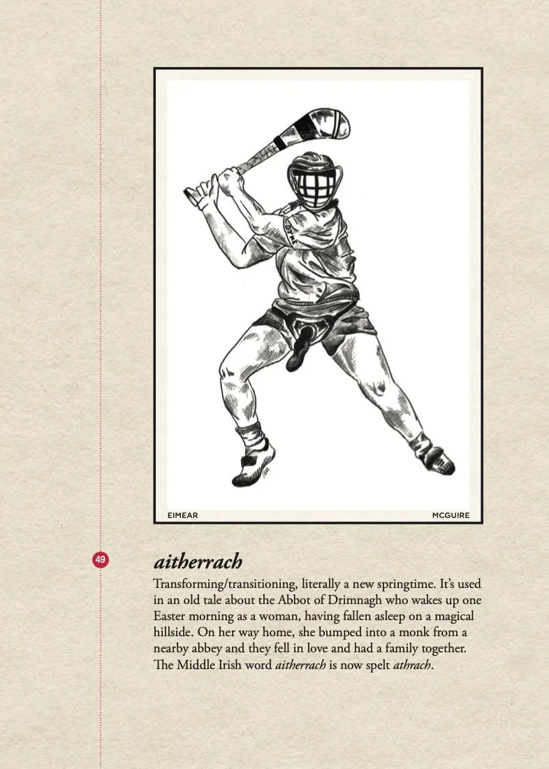 Focail na mBan: Women's Words by Manchán Magan - Irish Language Book for Women's Studies, Cultural Exploration & Gift Ideas