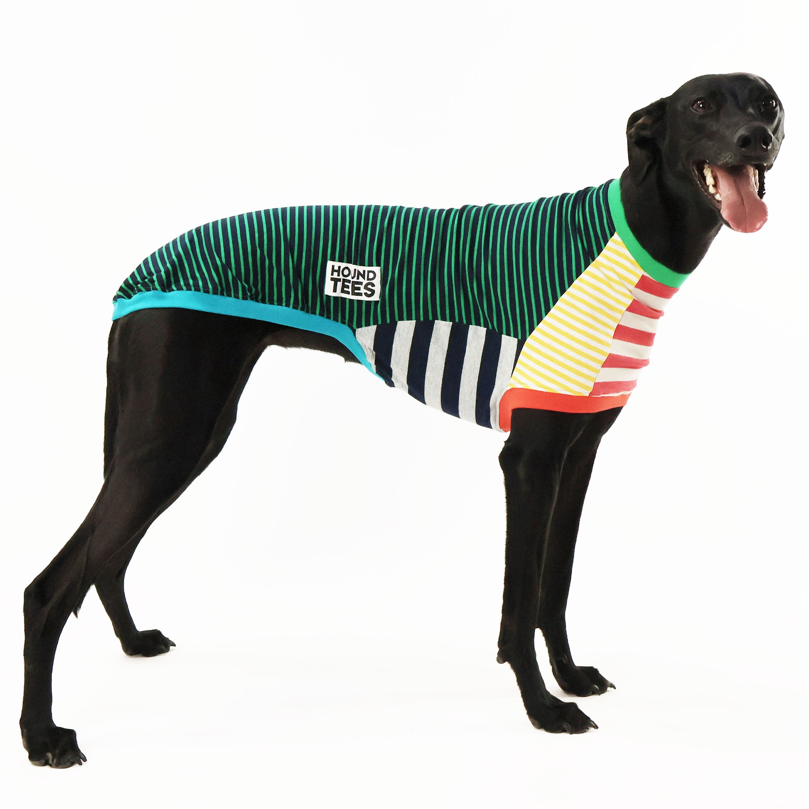Frankie Greyhound Sleeveless Dog T-Shirt - Comfortable Pet Apparel for Active Dogs, Outdoor Adventures & Playtime