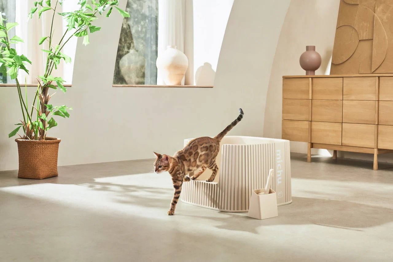 XXL BoBa Deluxe Cat Litter Box - Extra Large Spacious Design with Scoop Included - Perfect for Multiple Cats & Large Breed Felines