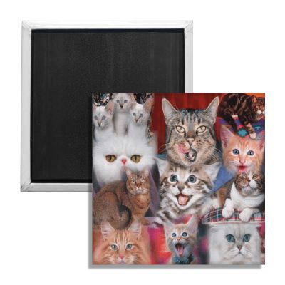 Happy Cats Refrigerator Magnets - Cute Kitty Fridge Decor for Home & Office - Perfect for Holding Notes, Photos & Shopping Lists