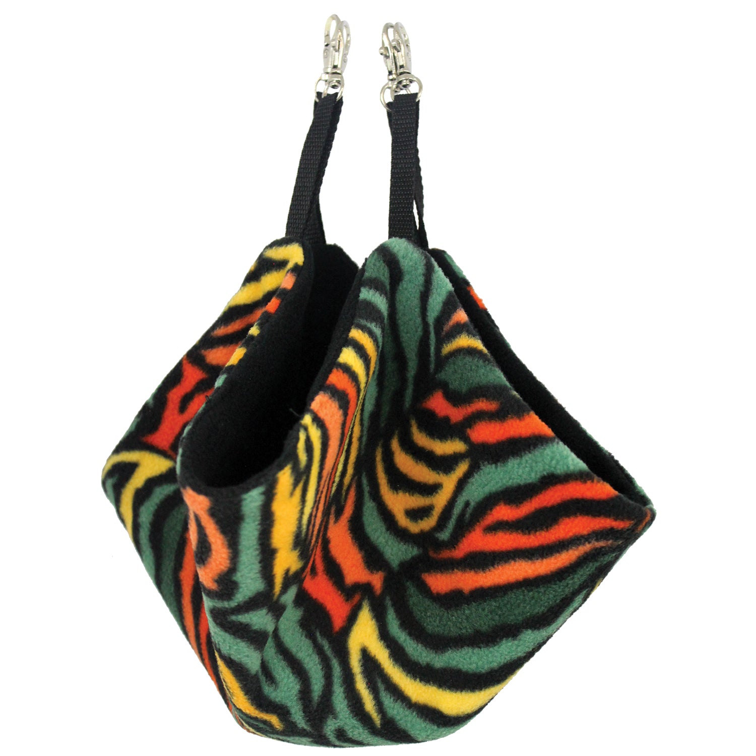 Rainbow Zebra