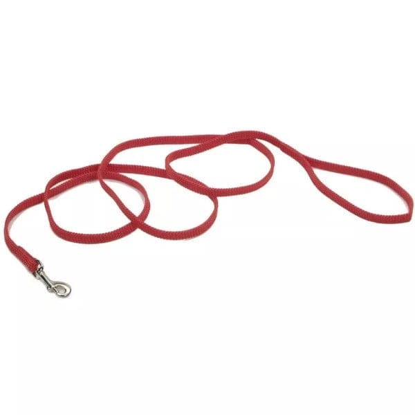 Coastal Sunburst Dog Leash - Durable Reflective Pet Walking Lead with Comfortable Padded Handle for Small Medium Large Dogs - Perfect for Beach Walks, Park Adventures & Nighttime Safety