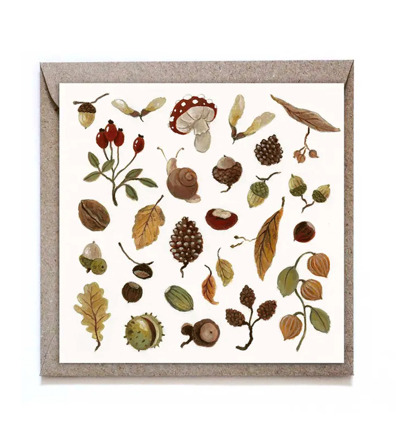 Autumn Foraging Card - Nature Exploration Guide for Hikers & Outdoor Enthusiasts | Perfect for Fall Hiking, Camping & Nature Journaling