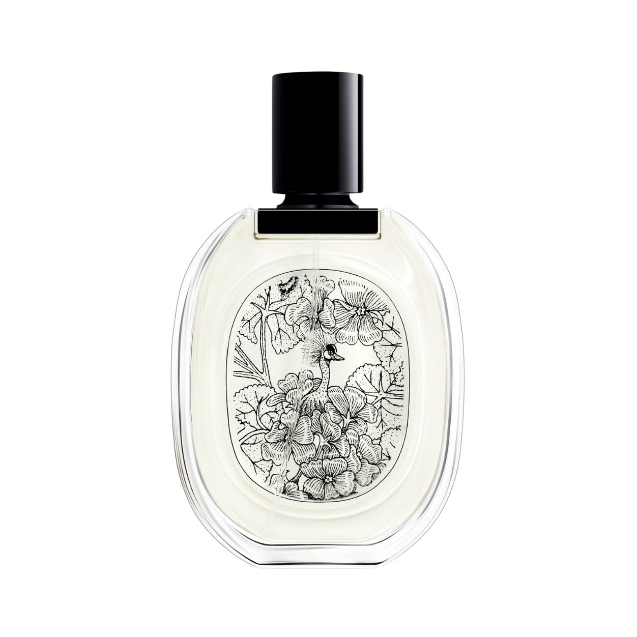 Geranium Odorata Eau De Toilette - Floral Perfume for Women, Long-Lasting Fragrance | Perfect for Daily Wear, Office & Special Occasions