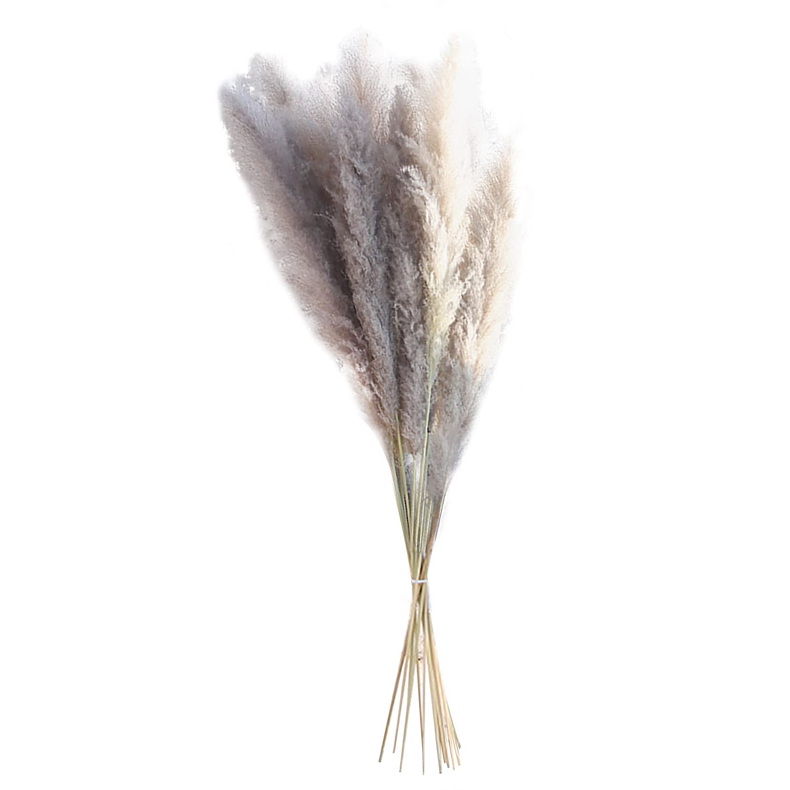 15pcs Natural Dried Pampas Grass Reeds - Tall Faux Pampas Grass Stems for Vase Decor, Home & Living Room Floral Arrangements, Wedding Centerpieces, Boho Chic Interior Design