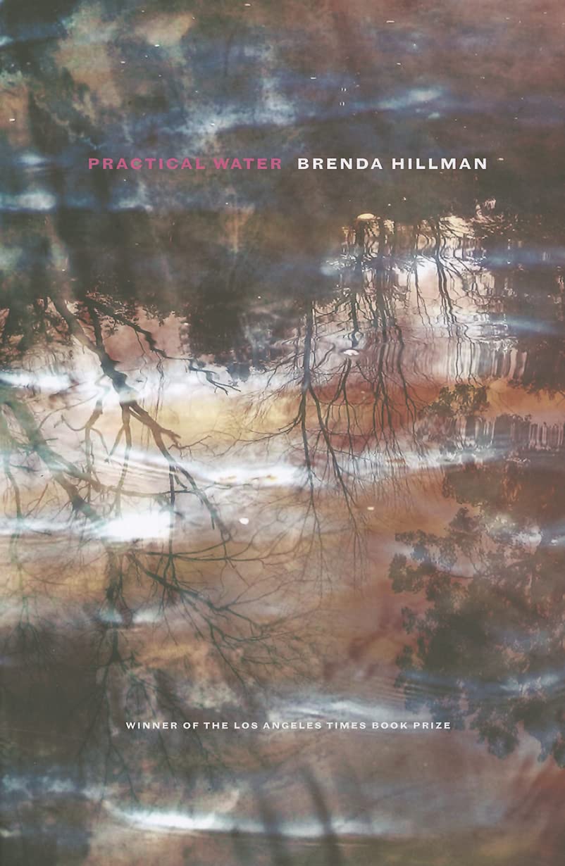 Practical Water (Wesleyan Poetry Series) - Contemporary American Poetry Collection for Literature Lovers & Book Clubs