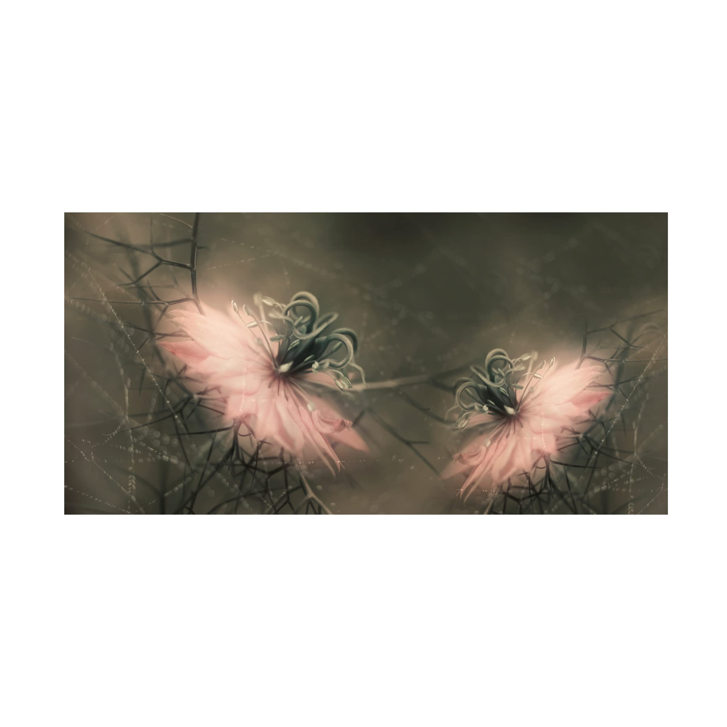 Heidi Westum 'The Virgins' Canvas Wall Art Print - Premium Gallery Wrapped Painting for Living Room, Bedroom & Office Decor