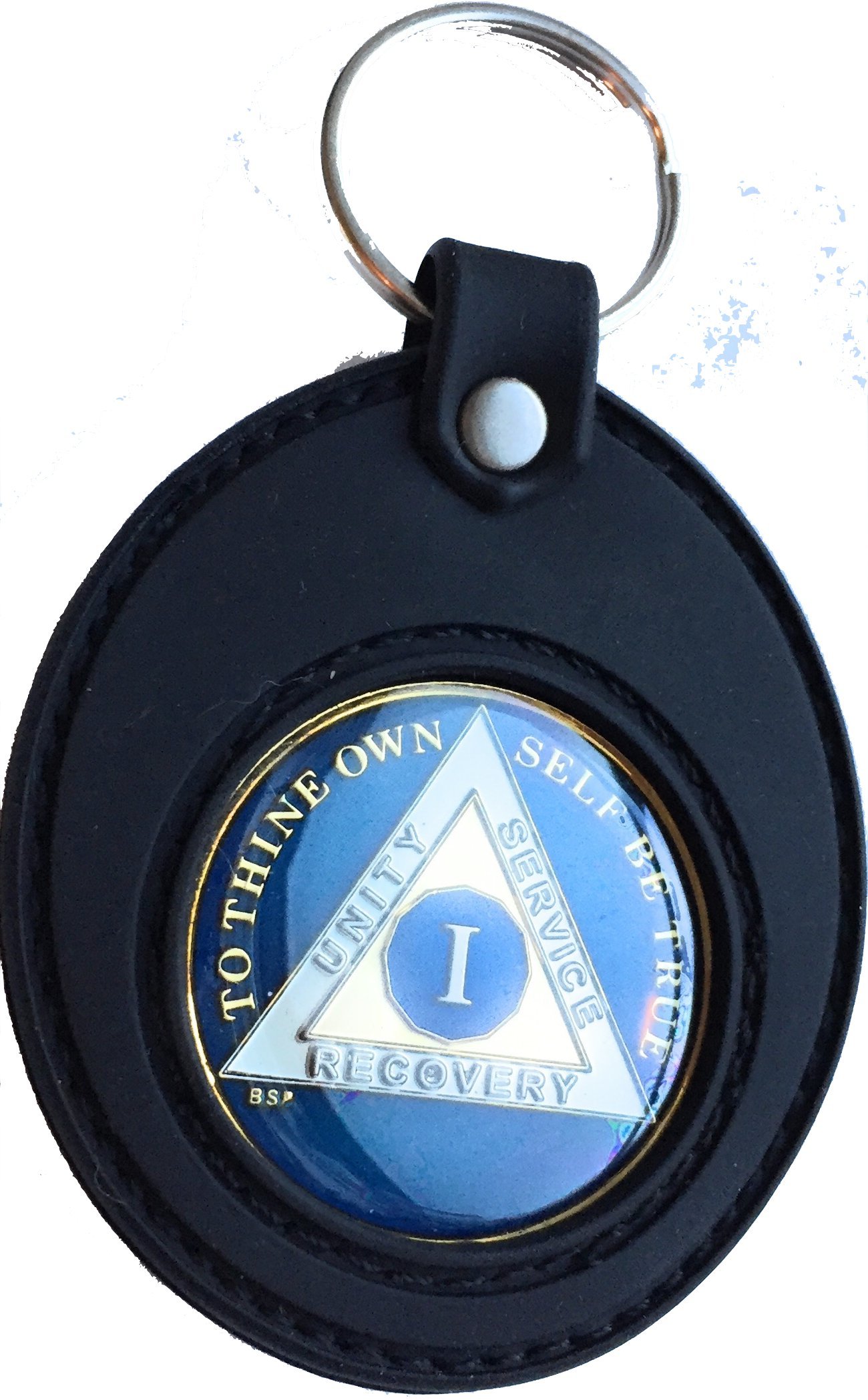 Universal AA Medallion or Coin Holder Keychain - Soft Silicone Key Ring for Recovery Chips, Tokens & Collectibles (Black) - Perfect for 12-Step Programs, Sobriety Gifts & Everyday Carry
