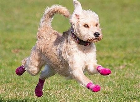 Sport PAWks Pink Dog Booties & Socks (4-Pack) - Waterproof Paw Protectors for Walking, Hiking & Winter Protection