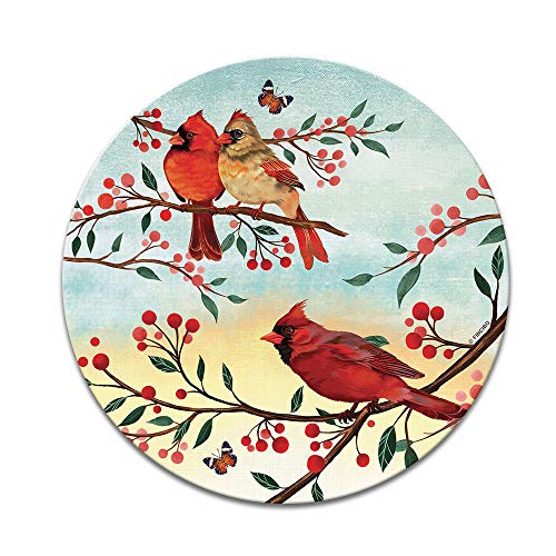 Red Cardinal Birds