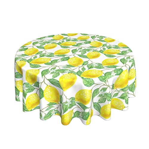 Lemon-2