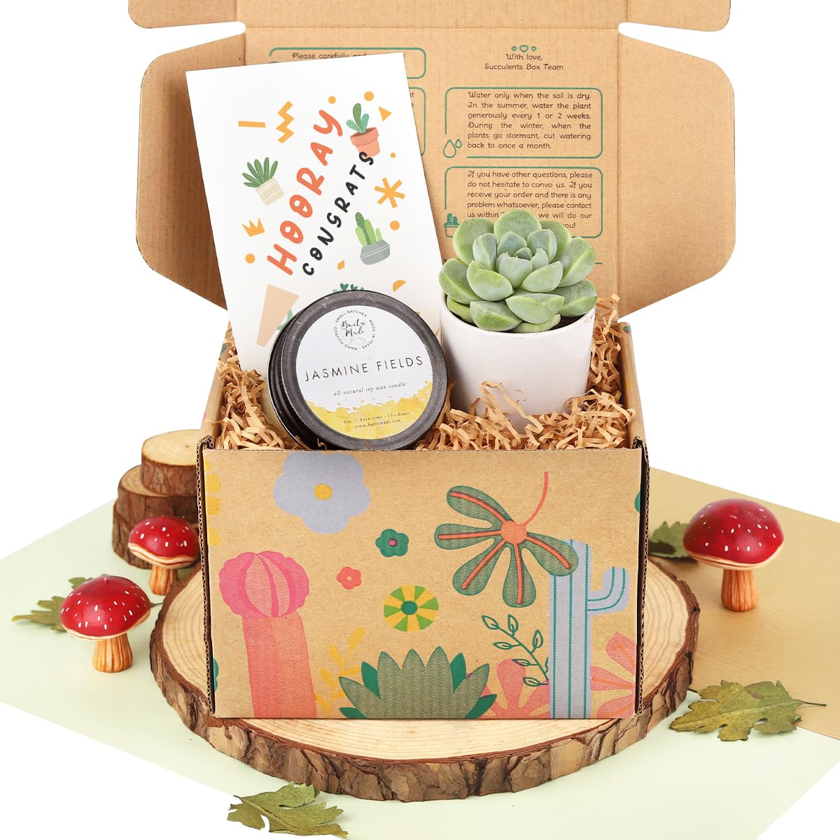 Succulent & Soy Candle Gift Box Set - Perfect Holiday Present for Him/Her - Includes Greeting Card - Ideal for Birthdays, Anniversaries & Housewarming Gifts