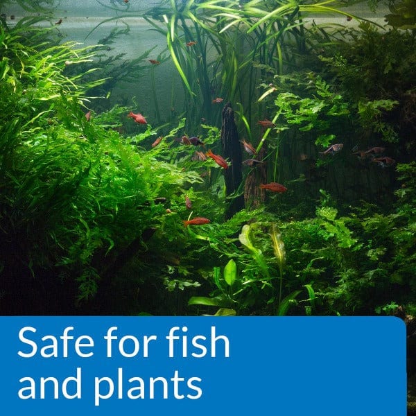 API pH Up - Premium pH Increaser for Aquariums & Hydroponics | Ideal for Fish Tanks, Pools & Water Treatment