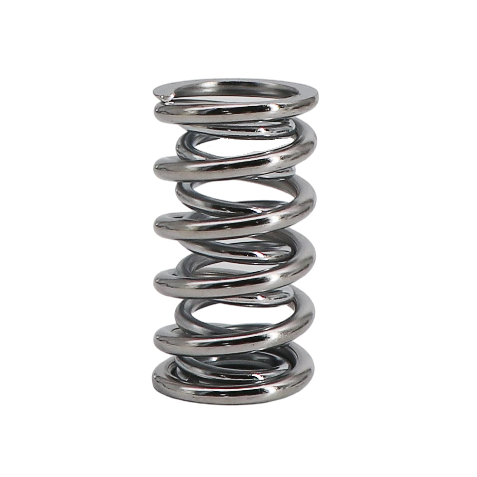 Dokili Performance Valve Springs Kit .660