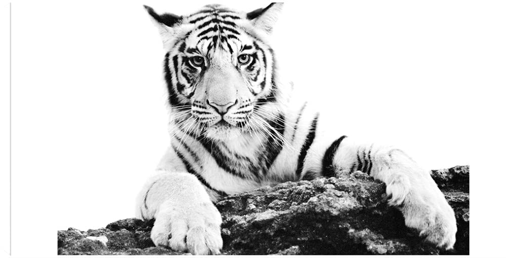 Staffan Widstrand Fine Art Canvas - Paws Ahead Wall Decor for Living Room, Bedroom, Office | 50x26 Inch Ready-to-Hang Canvas Painting | Perfect for Home, Kitchen, Bathroom & Dining Room Decor