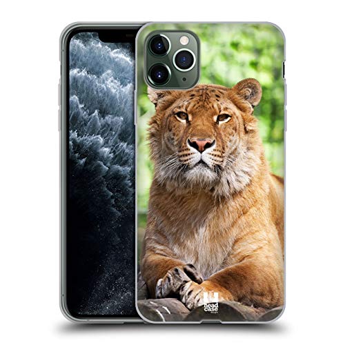 Siberian Liger