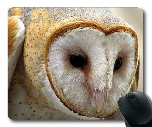 Premium Owl Decoy Mouse Pad with Non-Slip Base & Stitched Edges - Perfect for Office, Gaming & Home Workspace (Bird Deterrent Design)