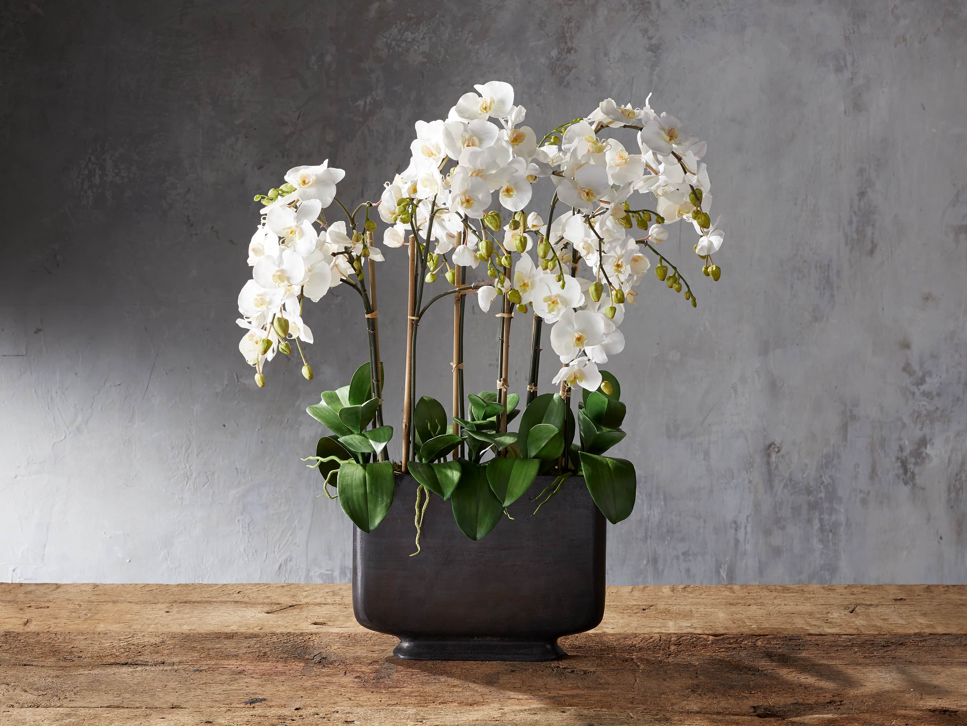 Artificial Phalaenopsis Orchid in Wide Bronze Vase - Elegant Home Decor for Living Room, Office & Wedding Centerpieces