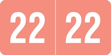 2022 Pink Year Labels 1/2