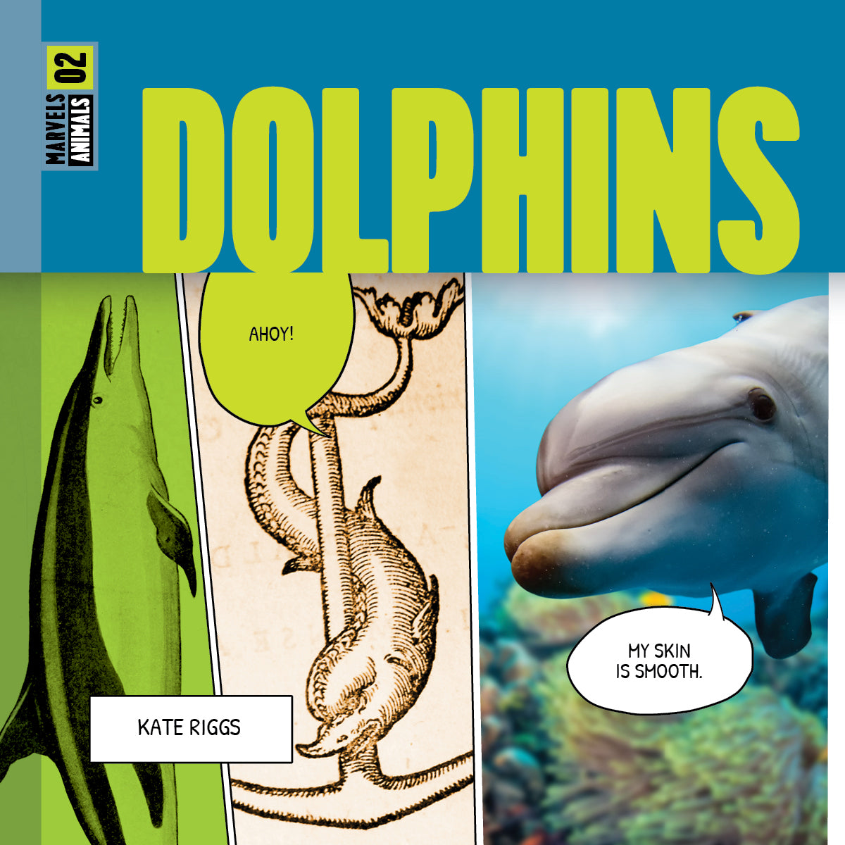 Dolphins Book 9781640268395 - Learn About Marine Life, Perfect for Kids & Ocean Enthusiasts | Great for School Projects & Educational Gifts