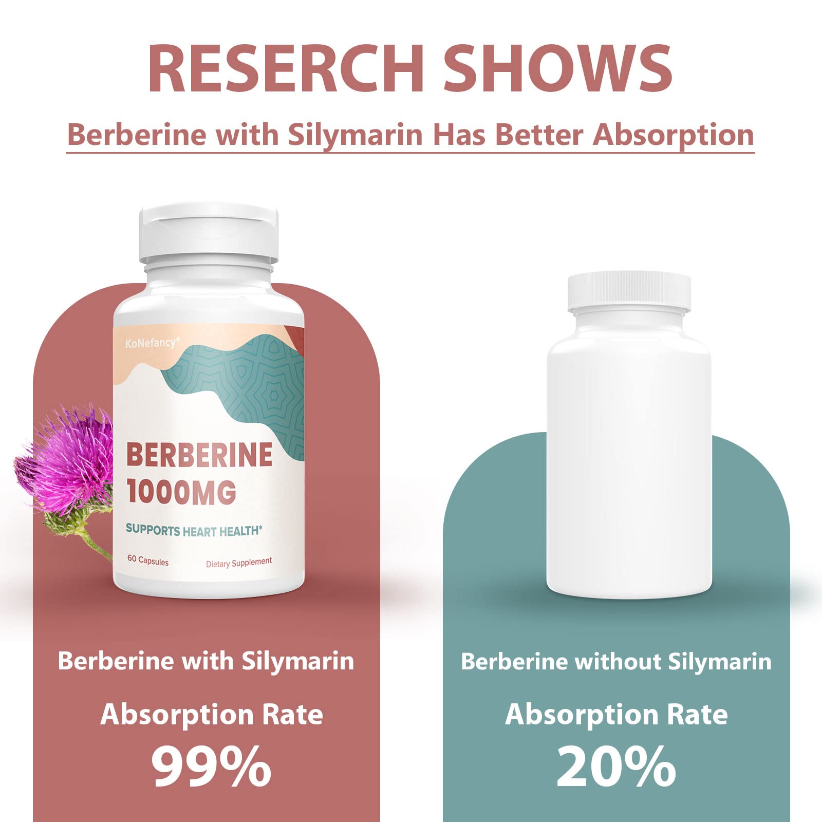 Premium Berberine HCL 1000mg Supplement with Silymarin Complex - High Absorption Vegan Capsules for Cardiovascular & Blood Sugar Support - 60 Count (Pack of 10) for Daily Wellness & Natural Health Maintenance