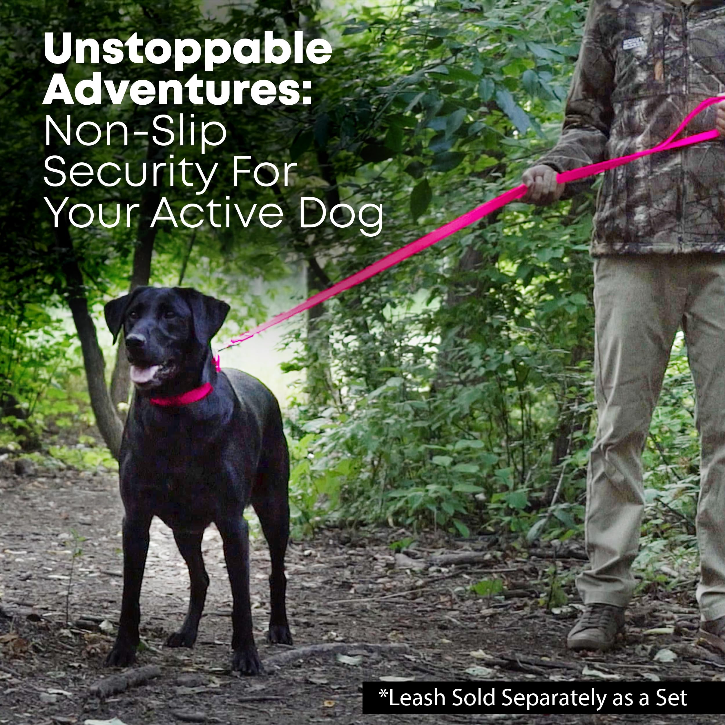 Regal Dog Products Small Pink Waterproof Dog Collar and Leash Set - Heavy Duty Double Buckle & D Ring | 5ft Chew Resistant Biothane Leash | Adjustable Waterproof Dog Collar for Small Dogs | Perfect for Walking, Training & Outdoor Adventures