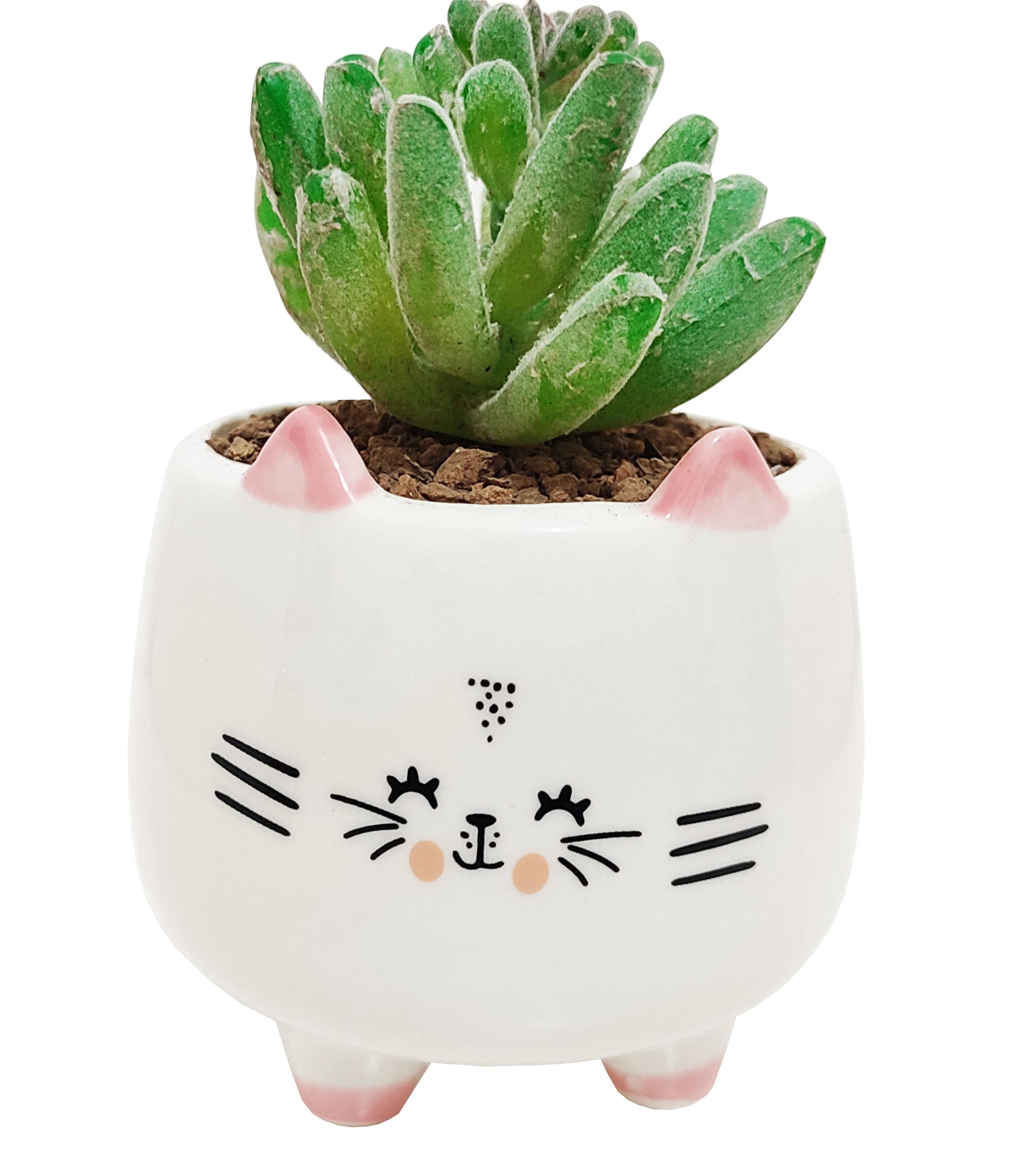 Cute 3.14 Inch Animal Shaped Ceramic Succulent Planter - Cat Design Flower Pot for Cactus & Small Plants, Home Office Garden Decor (Plant Not Included) | Perfect for Windowsills, Desks & Gift Giving