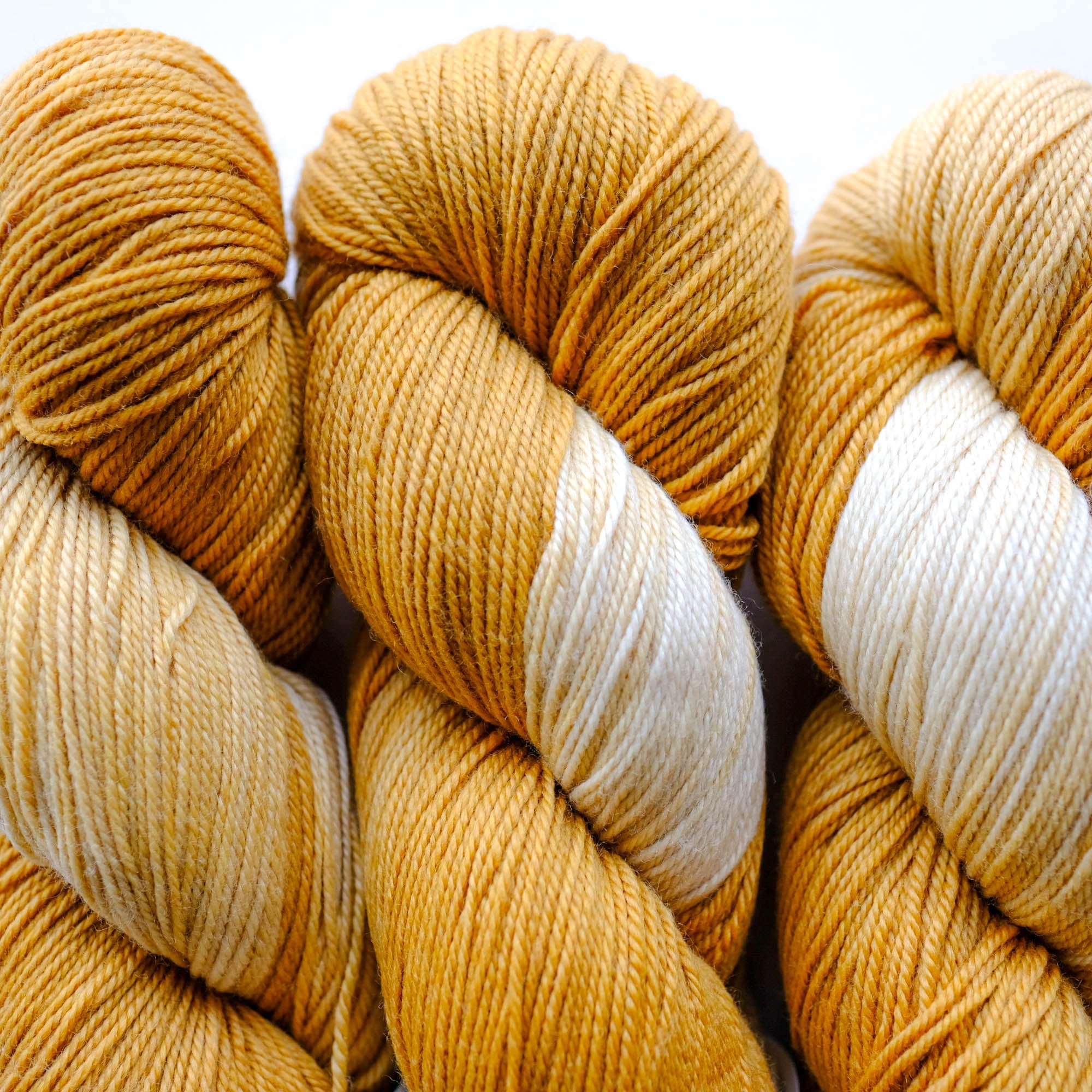 Butterscotch