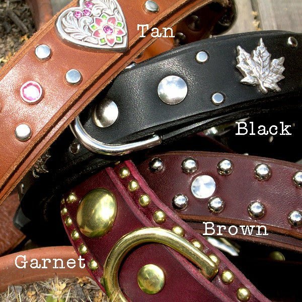 1.25 Inch Heavy Duty Dog Collar with Triple D Rings - Double Layer Nylon Pet Collar with Nameplate - Perfect for Training, Walking & Outdoor Adventures