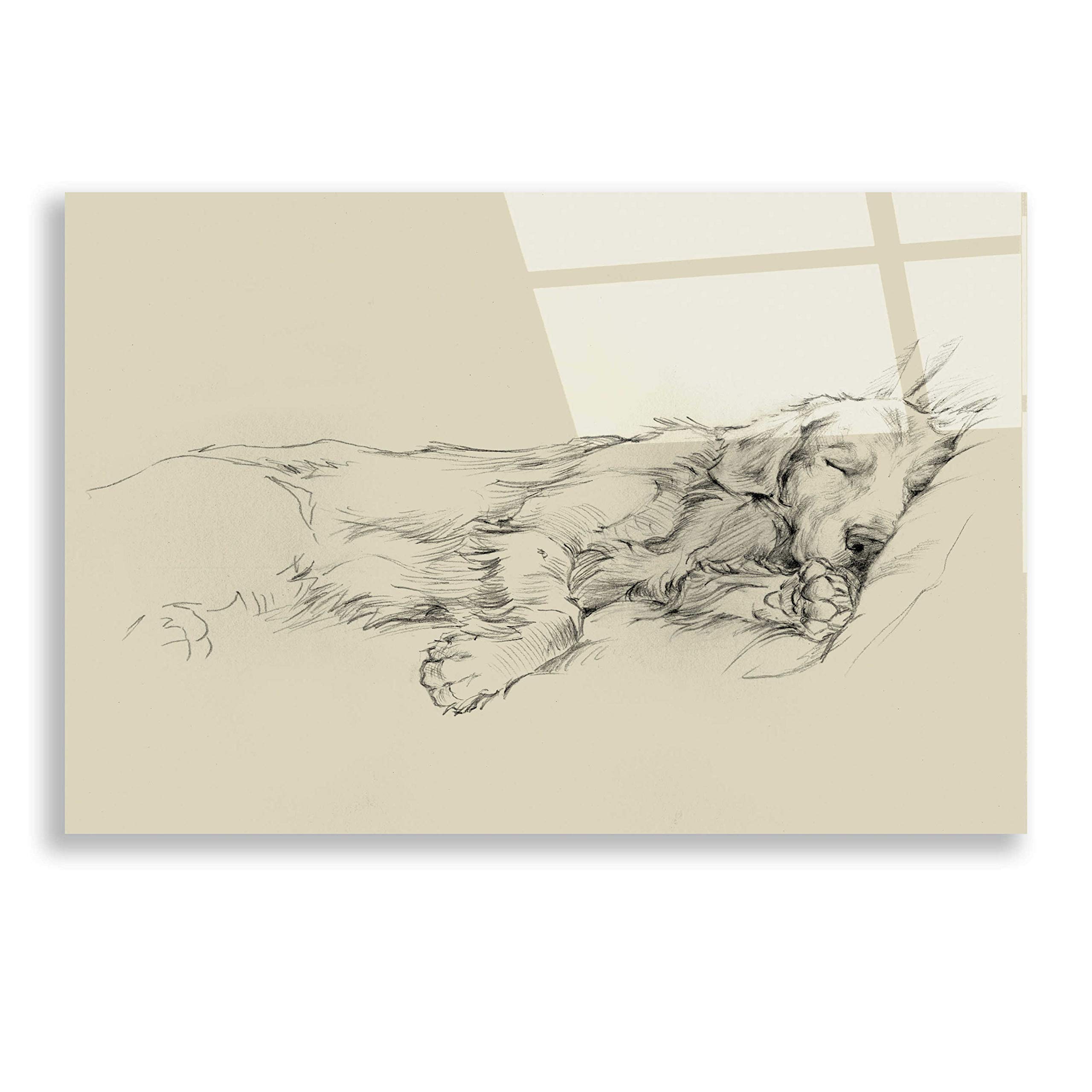Ethan Harper 'Dog Days III' Acrylic Glass Wall Art - 24x16 Inches Modern Canvas Painting for Living Room, Bedroom & Office Decor | Vibrant Abstract Dog Artwork