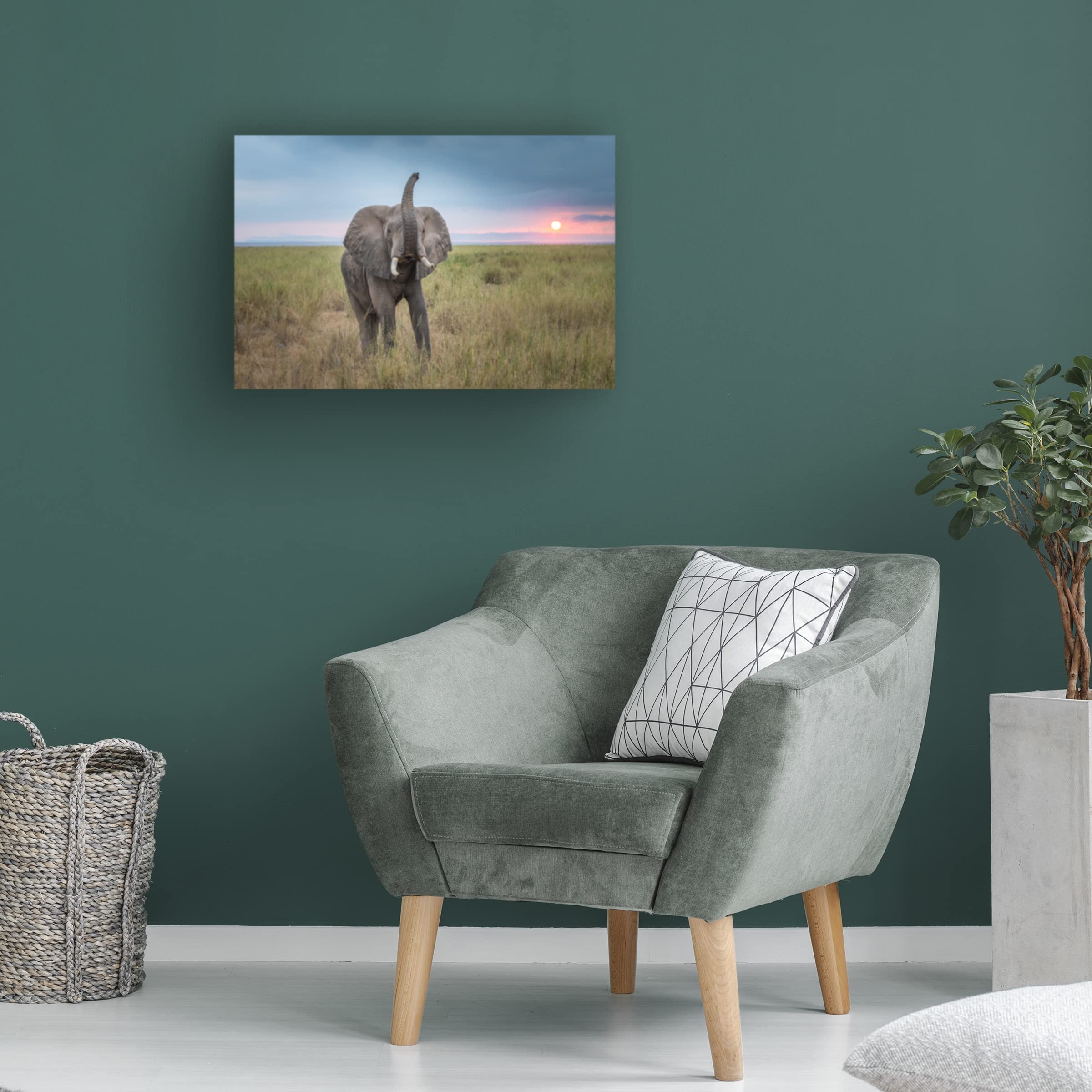 Trademark Fine Art 'King of the Domain' Canvas Wall Art by Jeffrey C. Sink - Modern Home Decor for Living Room, Office & Gaming Spaces