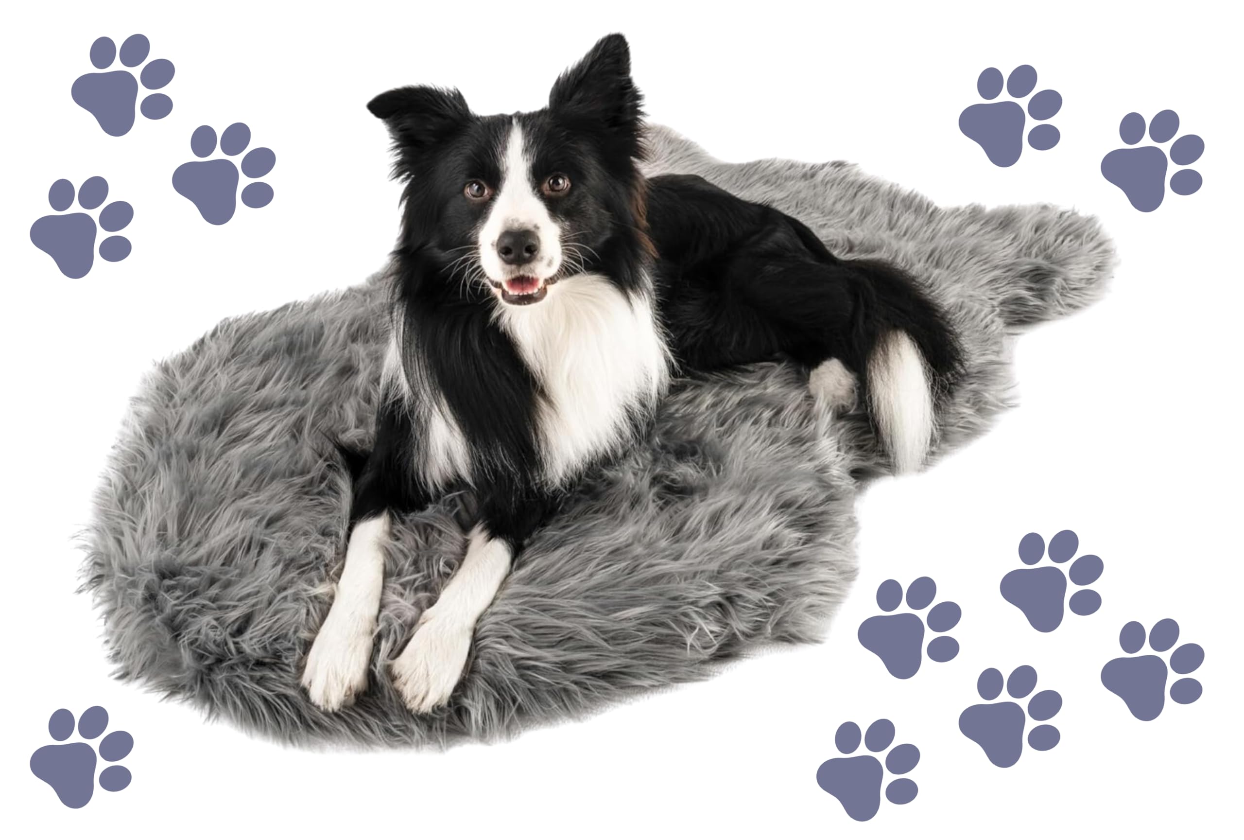 Orthopedic Dog Bed for Large Dogs - Memory Foam & Faux Fur Pet Bed for Joint Pain Relief, Waterproof & Machine Washable - Charcoal Grey XL - Perfect for Living Room, Bedroom or Crate Comfort