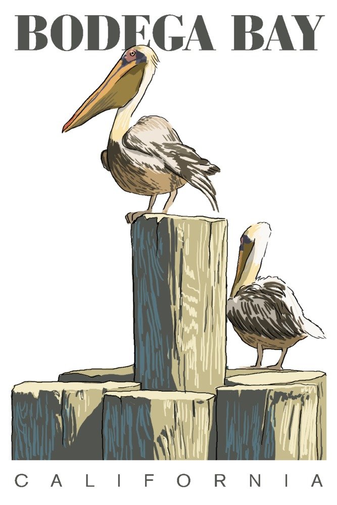Bodega Bay California Pelican and Pilings Iconic Art Print - 24x36 Signed Master Wall Decor Poster for Living Room, Office & Coastal Home Decor