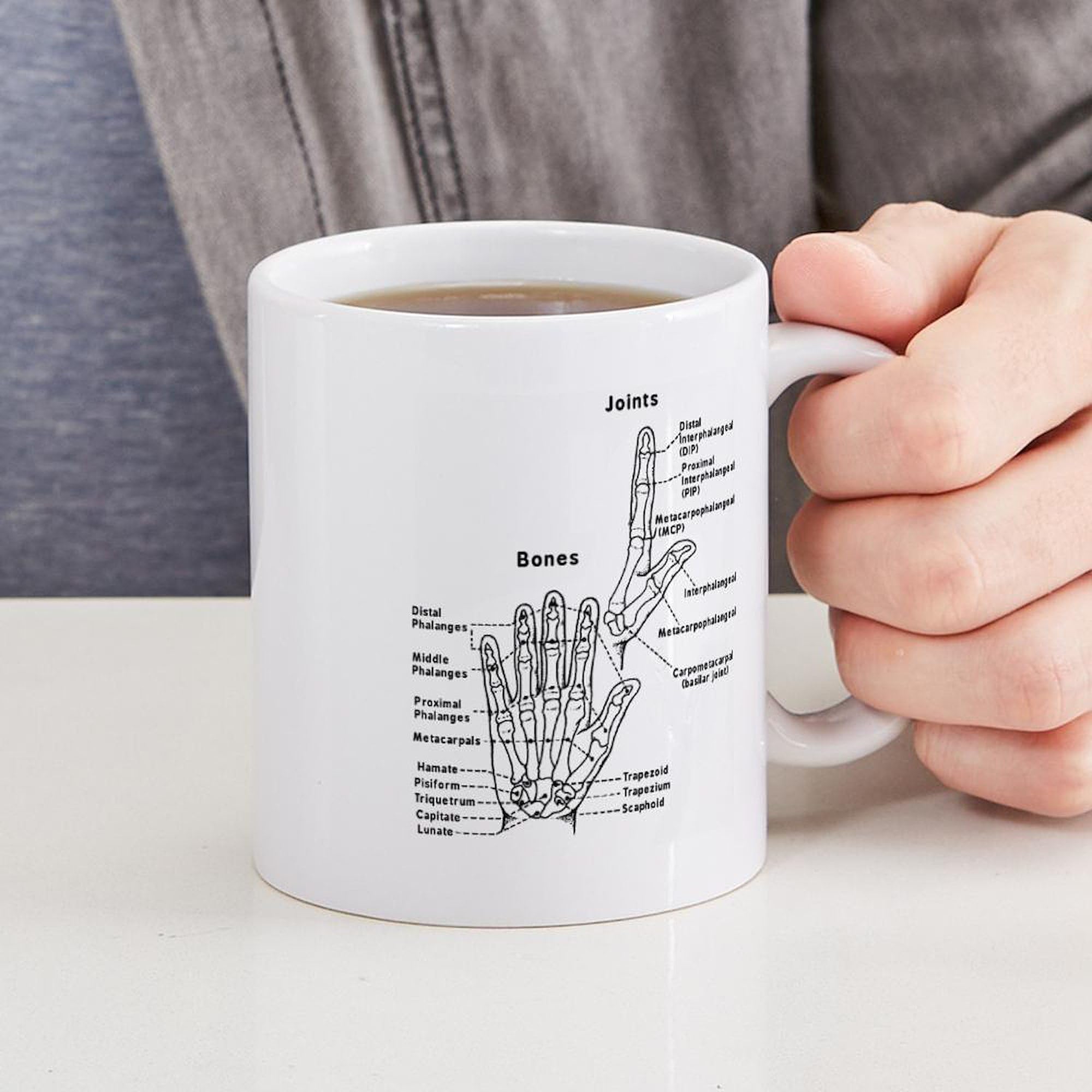 Hand Anatomy Coffee Mug - 11 oz (325 ml) Ceramic Cup for Doctors, Nurses & Medical Students | Perfect Gift for Anatomy Lovers, Office Use & Study Sessions