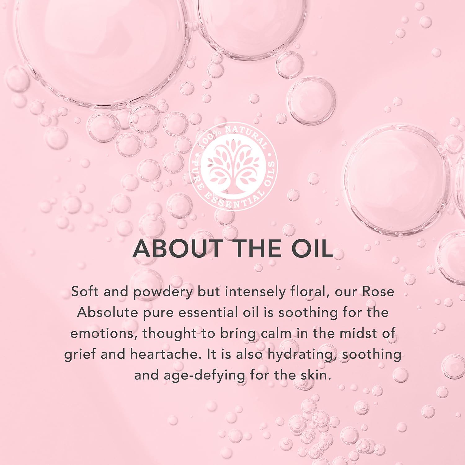 Tisserand Aromatherapy 100% Pure Natural Rose Absolute Essential Oil - Ethically Harvested, 9ml for Massage, Bath & Relaxation - Perfect for Spa, Yoga & Stress Relief