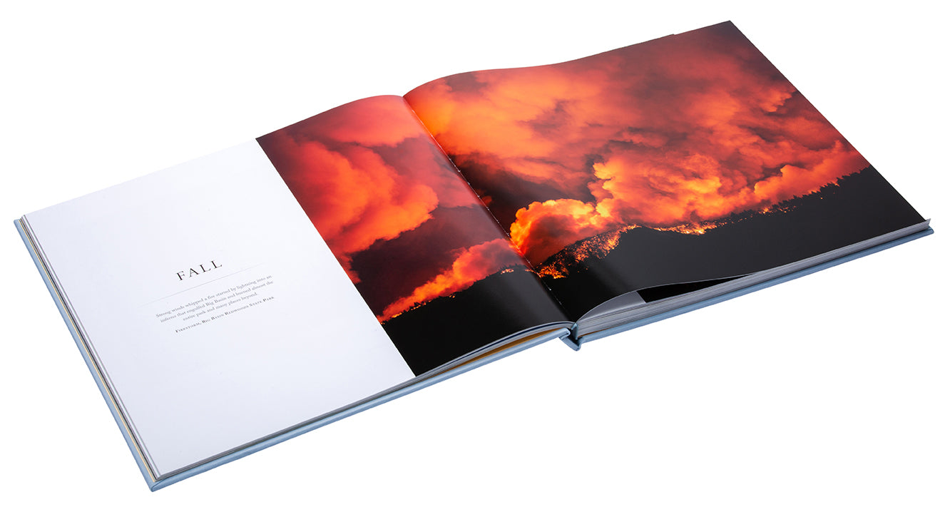 Bay of Life Collector's Edition - Limited Edition Collectible for Fans & Enthusiasts - Perfect for Display, Gifting, and Home Decor