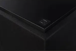 Definitive Technology DN12 Subwoofer - 12