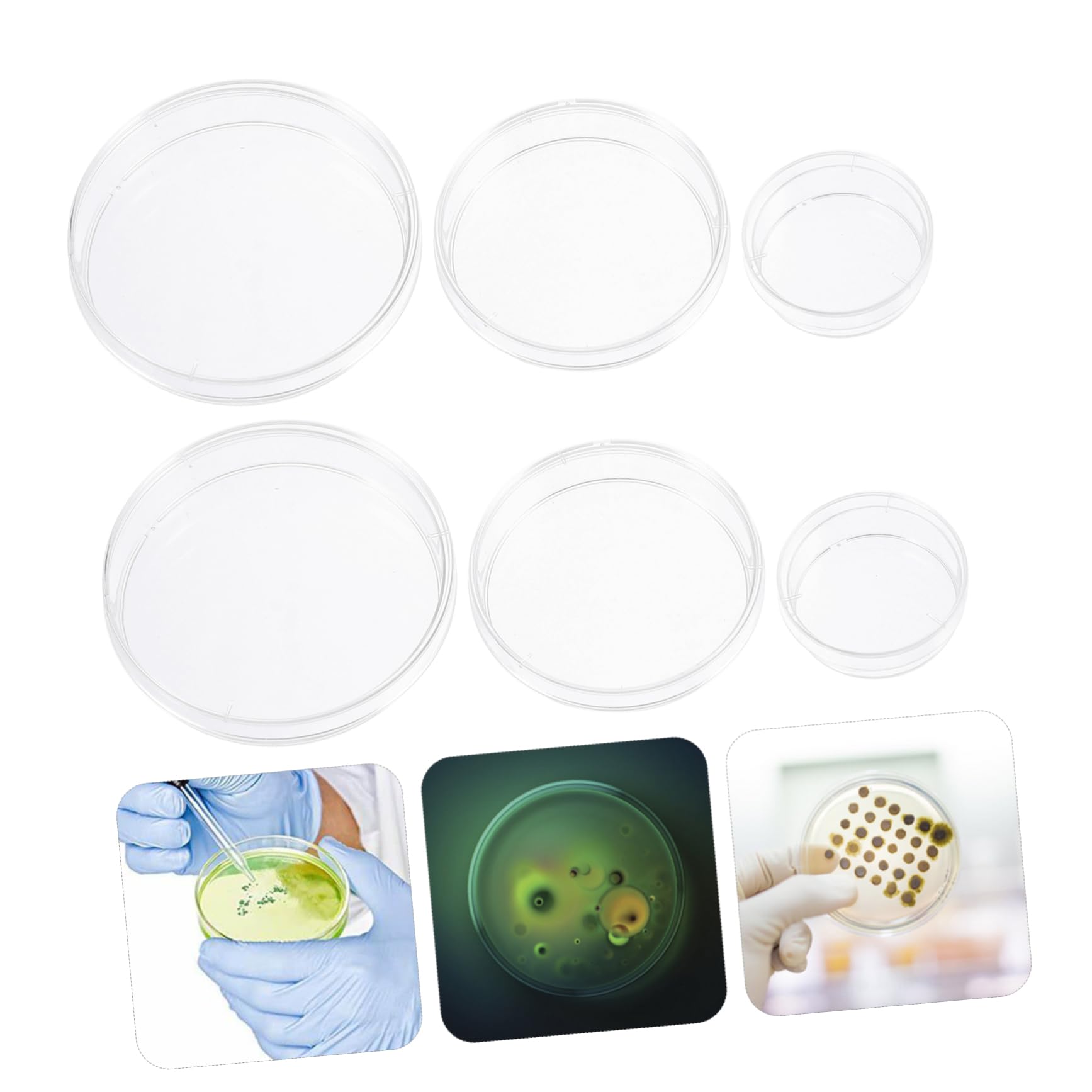 30pcs Plastic Petri Dishes for Cell Culture, Tissue Culture, and Lab Experiments - Ideal for Microbiology, Biology Labs, and Scientific Research