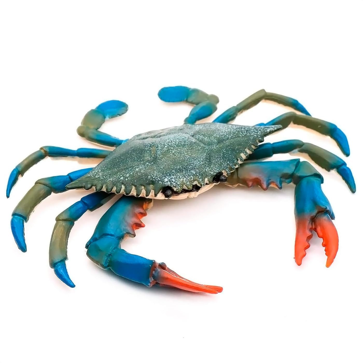 Blue Crab Tiki Bar Nursery - Realistic Plastic Crab Toy for Bath & Pool Play - Educational Ocean Sea Animal Figure for Science Learning - Birthday Gift & Home Decor - Perfect for Kids' Bath Time, Beach Themed Parties & Ocean Lovers