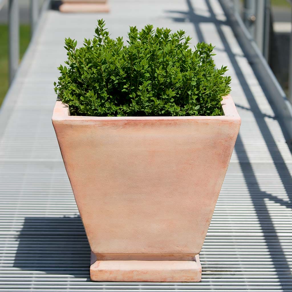 Campania International Lisburn Planter Set of 2 - Terra Cotta Flower Pots for Indoor & Outdoor Plants - Perfect for Patio, Garden, and Home Decor