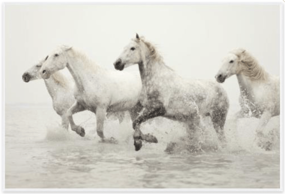 Water Escape Framed Giclee Art Print - Premium Wall Decor for Living Room, Bedroom & Office