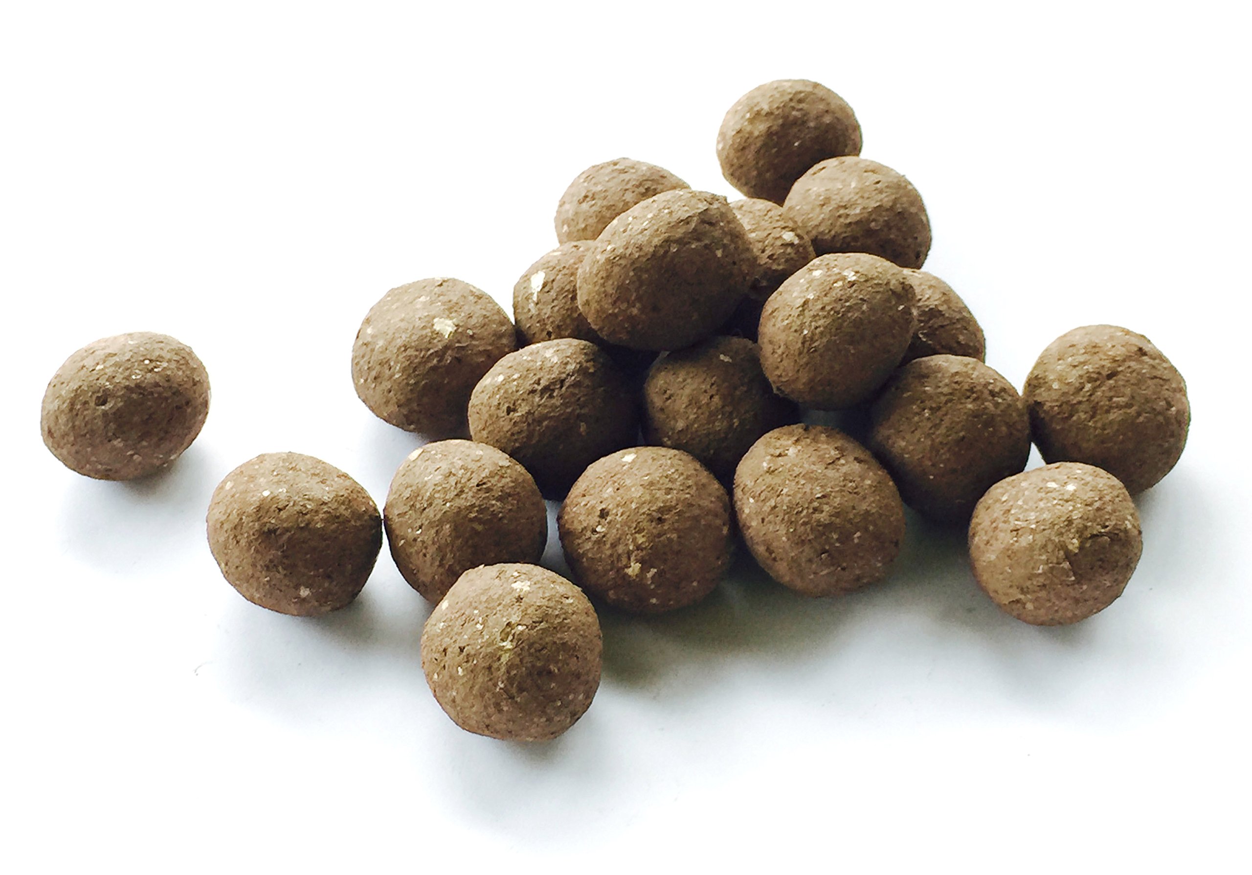 Rocky Mountain Penstemon Seed Balls (Penstemon strictus) - Bulk Wildflower Seeds for Fall Planting | 20 Pack | Attract Pollinators & Beautify Gardens