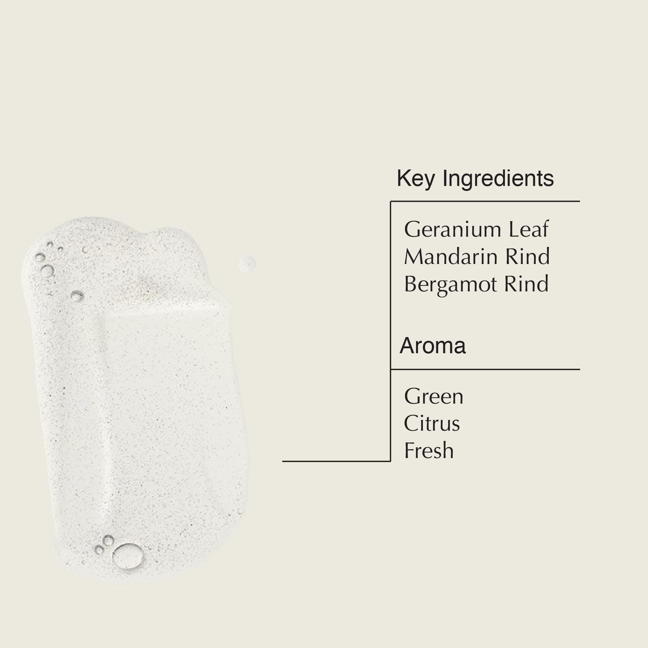 Aesop Reverence Aromatique Hand Wash & Geranium Leaf Body Cleanser - 500mL/16.67oz | Paraben-Free, Cruelty-Free & Vegan | Luxury Hand & Body Wash for Spa, Bathroom & Home Use