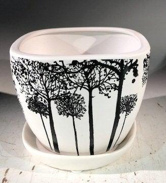 Square Tree Silhouette Bonsai Pot with Attached Humidity/Drip Tray - 4.5 x 4.5 x 4 Inches - Perfect for Indoor Plants, Zen Gardens, and Home Decor