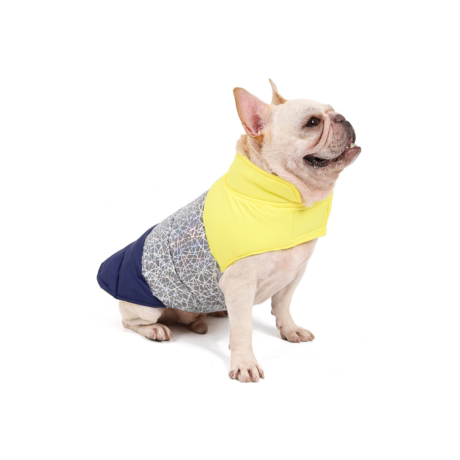 JENPECH Reversible Dog Jacket - Waterproof Windproof Winter Coat for Small Medium Large Dogs | Warm Cozy Pet Apparel for Cold Weather | Grey 3XL | Perfect for Outdoor Walks, Hiking & Winter Adventures