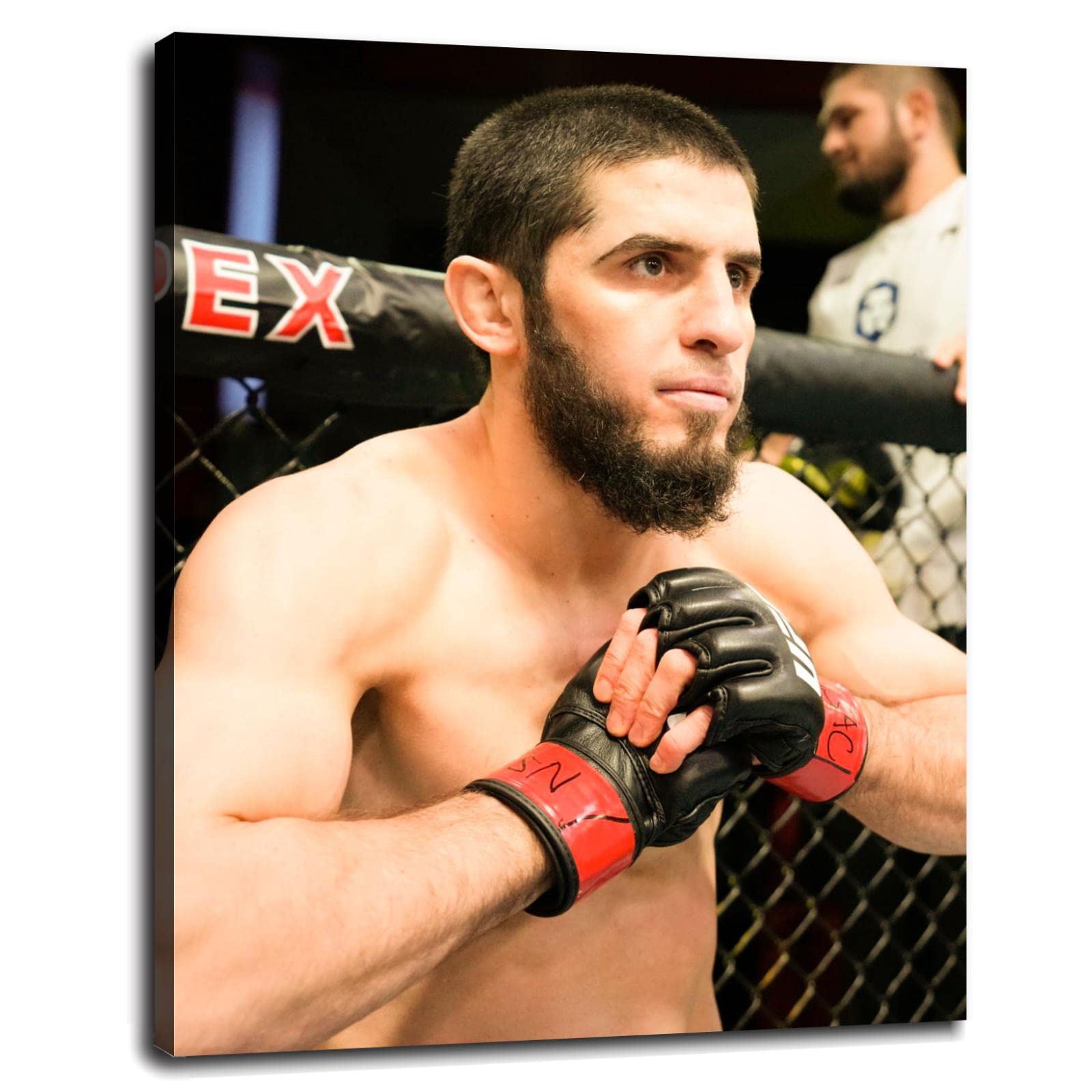 Boxer Makhachev Canvas Art Print - 27x20 Inch Framed Wall Decor for Home & Office - Perfect for Sports Fans, Man Cave, Gym & Martial Arts Studio Decor